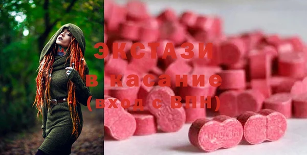 стаф Пересвет