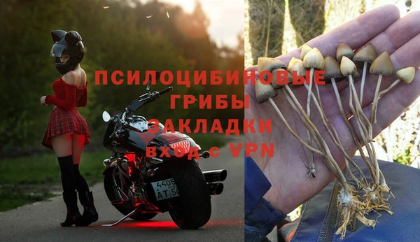 мяу мяу кристалл Переславль-Залесский