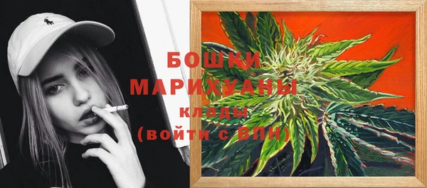 стаф Пересвет