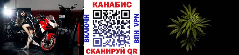 Купить где  Курлово  Канабис гибрид 